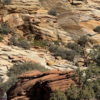 Canyon Overlook Trail - Hiking Near Me - Springdale, Utah
