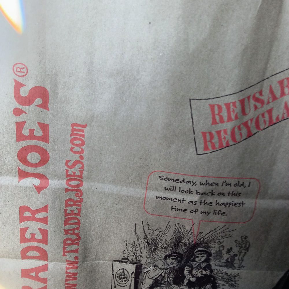 Picture of a bag of groceries. Picture of a bag of groceries.