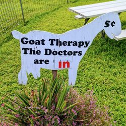 Honomu Goat Dairy - So true.