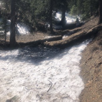 Blue Ridge Trail - Hiking Near Me - Wrightwood, California Blue Ridge Trail - Hiking Near Me - Wrightwood, California
