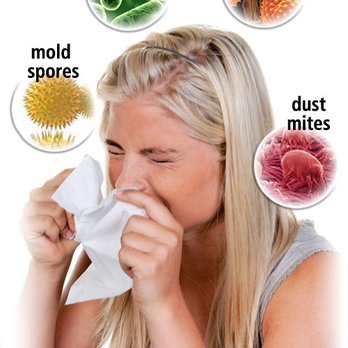 AirTech Solutions 4U - Airborne Contamination - Environmental Testing Near Me - Wauconda, Illinois AirTech Solutions 4U - Airborne Contamination - Environmental Testing Near Me - Wauconda, Illinois