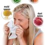 AirTech Solutions 4U