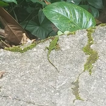 Natural Wonders PR - Tours Near Me - Old San Juan, Puerto Rico