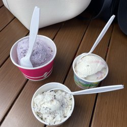 Maine blueberry, sugar free choco fudge, rocky road raspberry