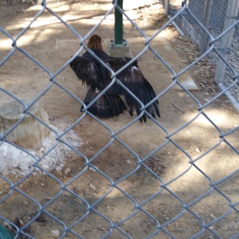 Wildhaven Ranch - Zoos Near Me - Cedar Glen, California