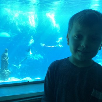 Weeki Wachee Springs - Amusement Parks Near Me - Spring Hill, Florida