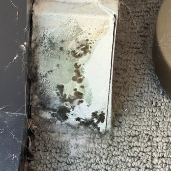 Steele Creek - 4/3/23 - mold on trim in my bedroom - Apartments Near Me - Denver, Colorado