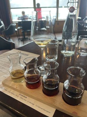 Damiani Wine Cellars by null