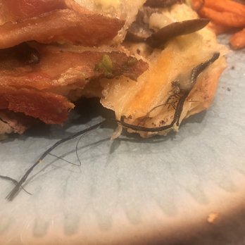 Northvale Classic Diner - It looks like a hair extension fell into the cheese. - Diners Near Me - Northvale, New Jersey