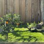 Photo of Dutra Landscape & Gardening