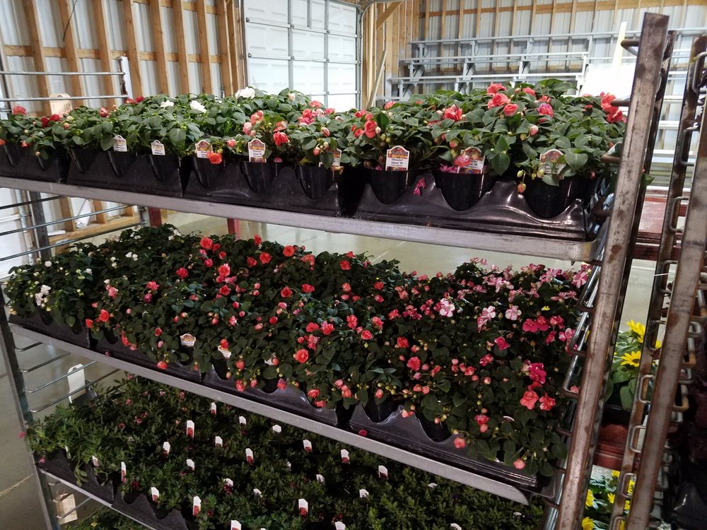 CEDAR VALLEY PRODUCE AUCTION 18072 Addison Ave, Osage, Iowa Fruits