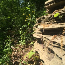 Dells Timberland Campground