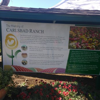 The Flower Fields - A little 4-1-1 - Venues & Event Spaces Near Me - Carlsbad, California The Flower Fields - A little 4-1-1 - Venues & Event Spaces Near Me - Carlsbad, California