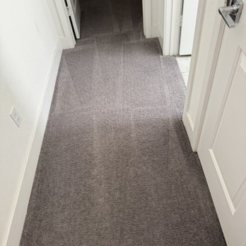 GSL Carpet Cleaning - Clean and rinse carpets after pet treatment. - Carpet Cleaning Near Me - Indio, California GSL Carpet Cleaning - Clean and rinse carpets after pet treatment. - Carpet Cleaning Near Me - Indio, California