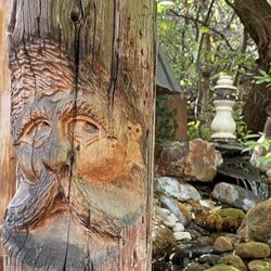 The Hog Wallow Pub - Waterfall & Tiki