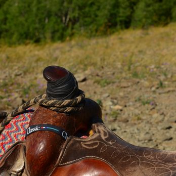 Bear Creek Ranch - Horseback Riding Near Me - Essex, Montana Bear Creek Ranch - Horseback Riding Near Me - Essex, Montana