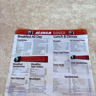 Agawam Diner by null