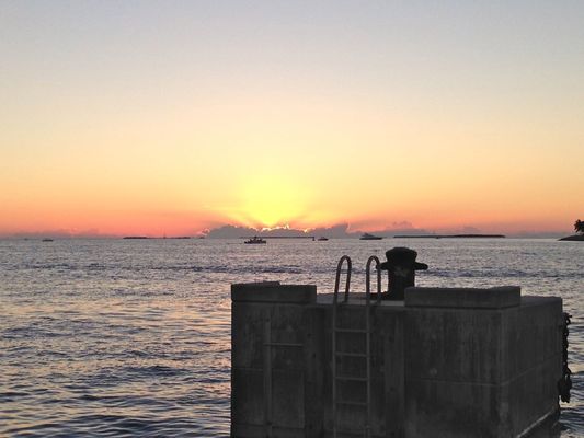 Sunset Celebration at Mallory Square by null