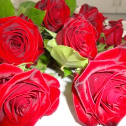 Heavenlyfleurs
