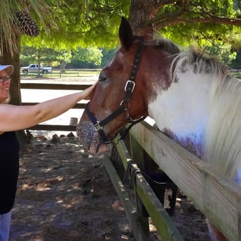 Inlet Point Plantation - At the stables - Horseback Riding Near Me - North Myrtle Beach, South Carolina Inlet Point Plantation - At the stables - Horseback Riding Near Me - North Myrtle Beach, South Carolina