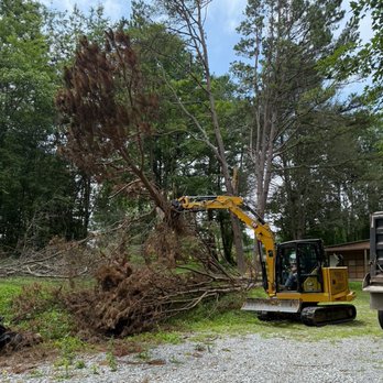 Blue Ridge Services - Cleaning up - Tree Services Near Me Blue Ridge Services - Cleaning up - Tree Services Near Me