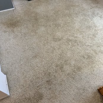 Floor Cleaner Fred - Carpet Cleaning Near Me