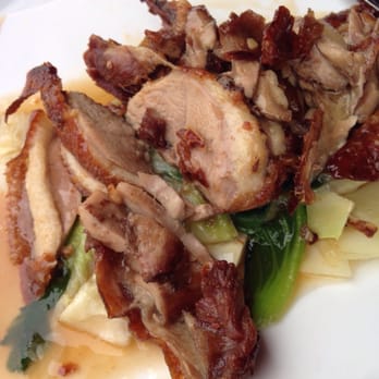 Yummy Thai - Disgusting, fatty emperor duck. - Thai Near Me - New York, New York