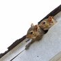 Photo of Frontier Wildlife Solutions