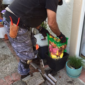 John's Gardening Service - John at work - Landscaping Near Me - Newman, California John's Gardening Service - John at work - Landscaping Near Me - Newman, California