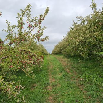Brackett's Farm - an apple orchard - Farmers Market Near Me - Limington, Maine