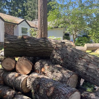 Heise Brothers Tree - Tree Services Near Me Heise Brothers Tree - Tree Services Near Me
