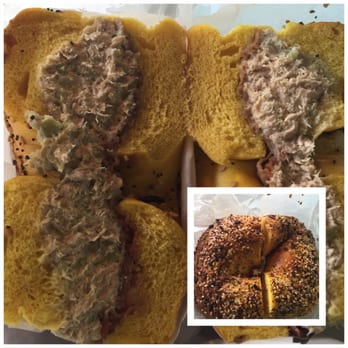 U-Need-A Bagels - Tuna on Egg Everything Bagel with Bacon  7-22-2016 - Bagels Near Me - West Babylon, New York