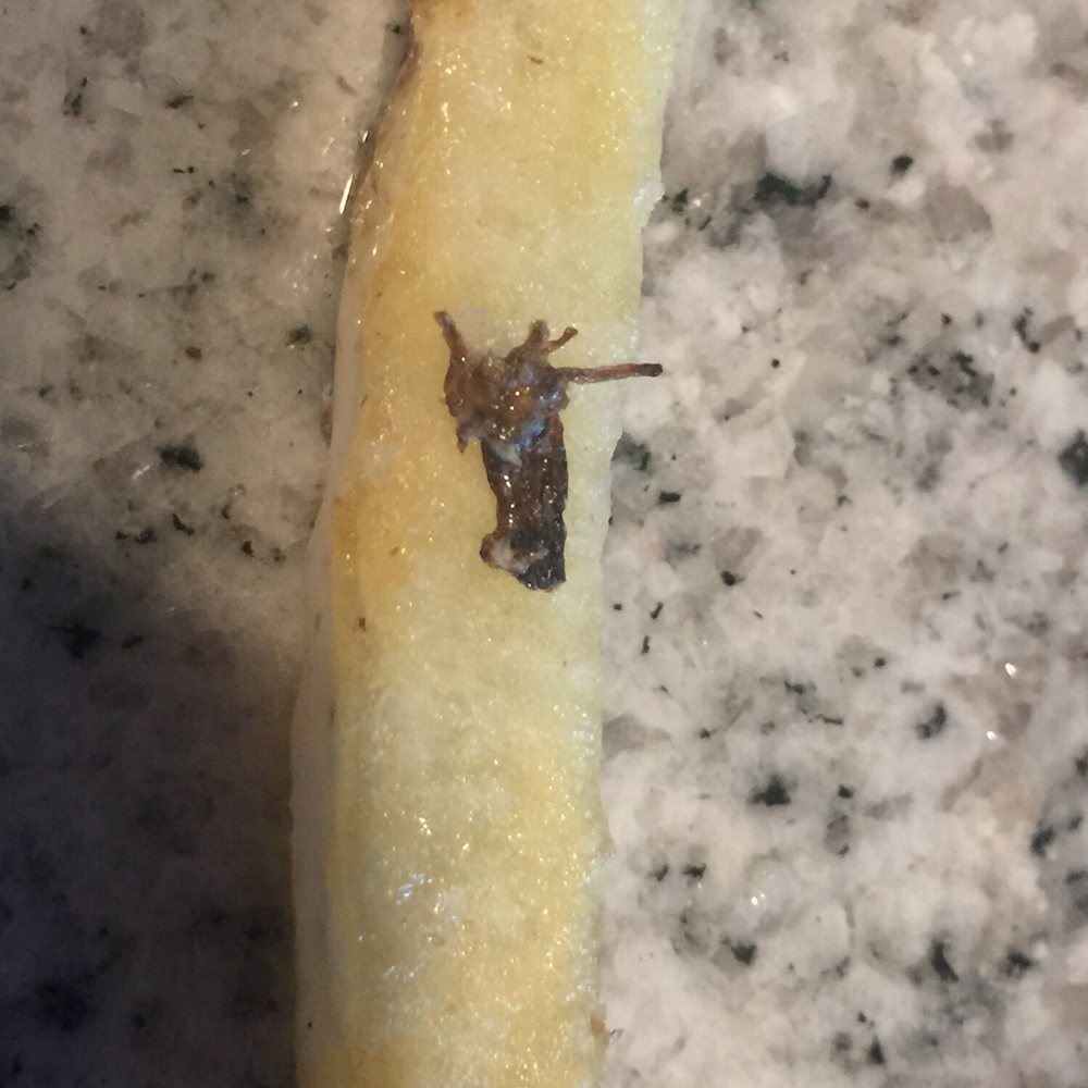 Wingstop - Dead Cockroach on fried on my fries - Chicken Wings Near Me - Forth Worth, Texas Wingstop - Dead Cockroach on fried on my fries - Chicken Wings Near Me - Forth Worth, Texas