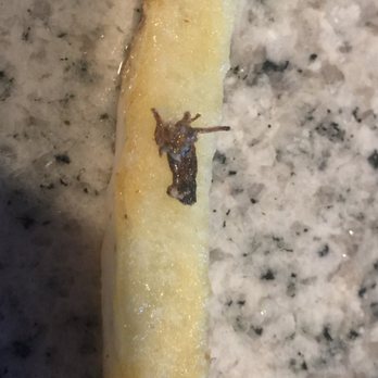 Wingstop - Dead Cockroach on fried on my fries - Chicken Wings Near Me - Forth Worth, Texas Wingstop - Dead Cockroach on fried on my fries - Chicken Wings Near Me - Forth Worth, Texas