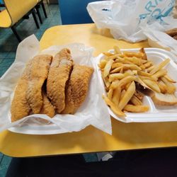 Sharks Fish and Chicken - Cat fish
