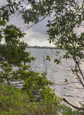 Oleta River State Park by null