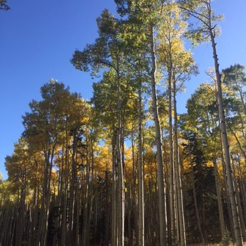 Red River Ski  & Summer Area - Ski Resorts Near Me - Red River, New Mexico