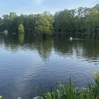 Swan Lake Iris Gardens - Parks Near Me - Sumter, South Carolina Swan Lake Iris Gardens - Parks Near Me - Sumter, South Carolina