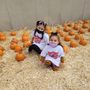 Photo of The Salvation Army Alhambra Preschool