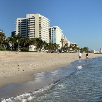 Superior Pest & Termite - Fort Lauderdale Beach - Pest Control Near Me - Vineland, New Jersey Superior Pest & Termite - Fort Lauderdale Beach - Pest Control Near Me - Vineland, New Jersey
