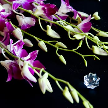 Bud's Flowers - Florists Near Me - Burr Ridge, Illinois
