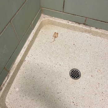 Croton Point Park - Bloody tampon in shower - Parks Near Me - Croton-on-Hudson, New York
