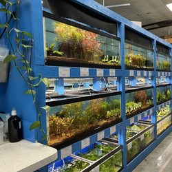 House of Tropicals - Freshwater fish