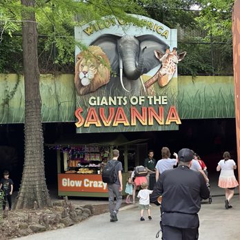 Dallas Zoo - Entering the zoo. - Zoos Near Me - Dallas, Texas Dallas Zoo - Entering the zoo. - Zoos Near Me - Dallas, Texas