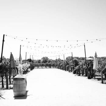 Peju Winery - Wine Tasting Room Near Me - Rutherford, California Peju Winery - Wine Tasting Room Near Me - Rutherford, California
