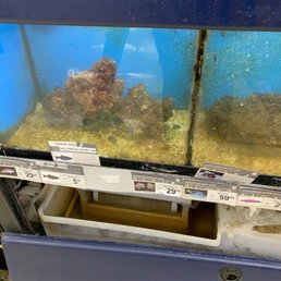 Fish tanks
