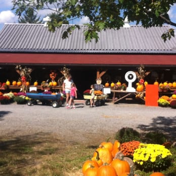 Hozak Farms - Hozak Farms Fall Festival Gift Barn. - Christmas Trees Near Me - Clinton, Pennsylvania Hozak Farms - Hozak Farms Fall Festival Gift Barn. - Christmas Trees Near Me - Clinton, Pennsylvania