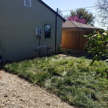 Madrid Tree Services - Dead Nectarine tree removed - Tree Services Near Me Madrid Tree Services - Dead Nectarine tree removed - Tree Services Near Me