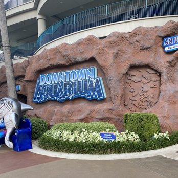 Aquarium Restaurant - Seafood Near Me - Houston, Texas