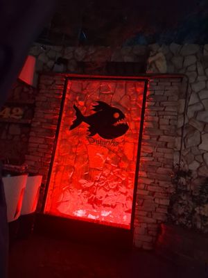 Piranha Nightclub by null